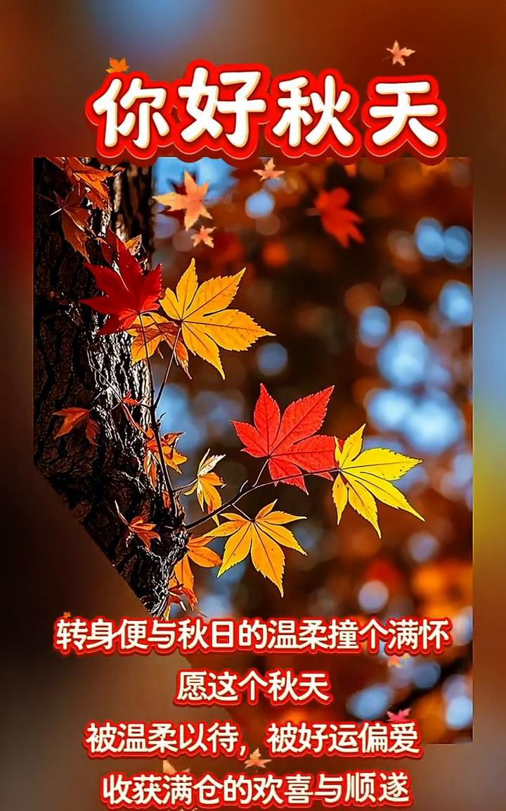 你好秋天。转身便与秋日的温柔撞个满怀。愿这个秋天被温柔以待，被好运偏爱，收获满