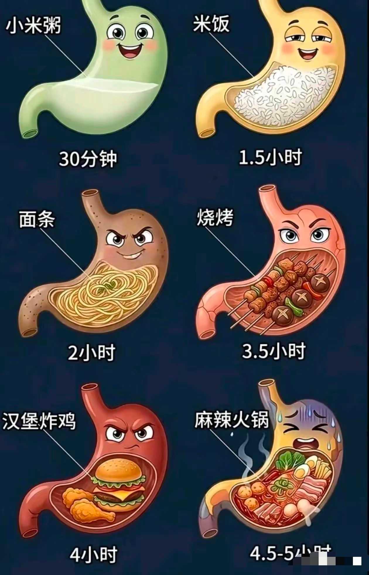 现在知道什么食物最抗饿了吗？