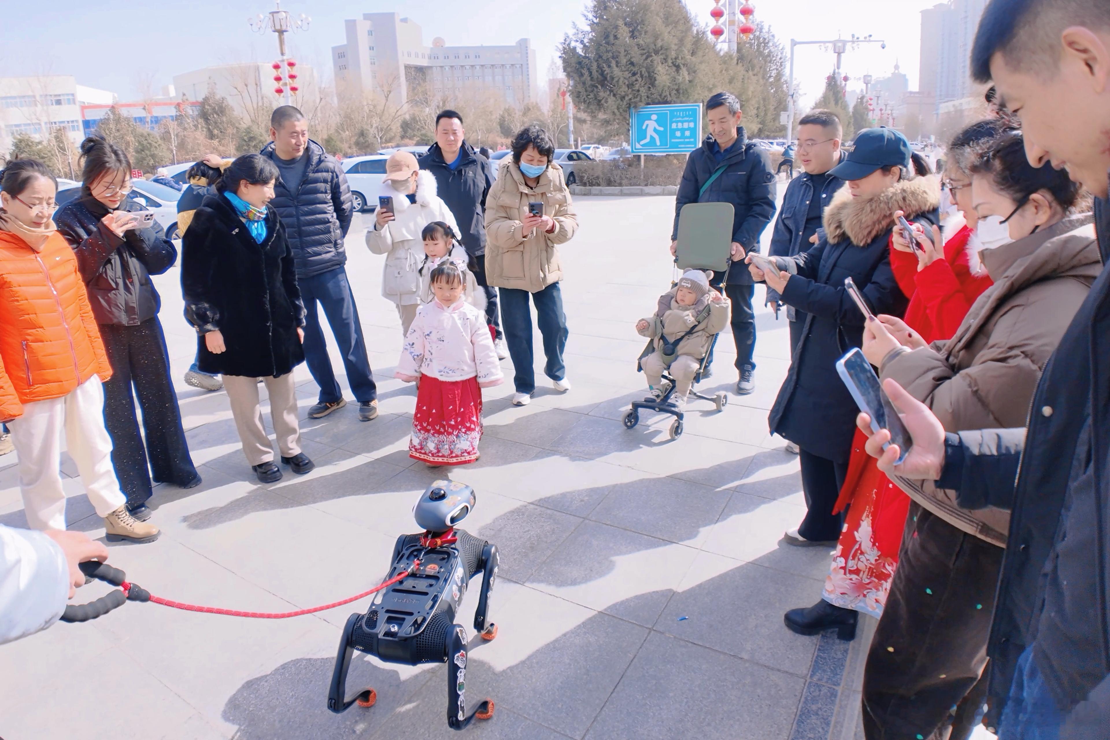 年初三带大头打卡闪现新疆梨城库尔勒孔雀湖岸！我以为的样子图一，实际上的情况图二西