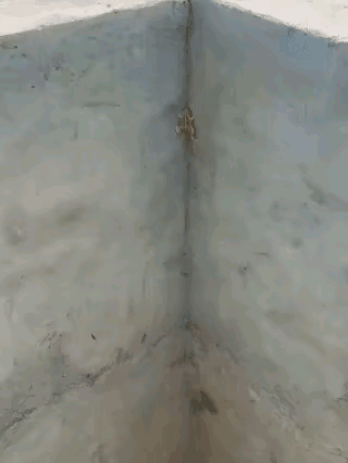 太同情这只小青蛙了，不是它不努力，实在是向上爬的条件太差。