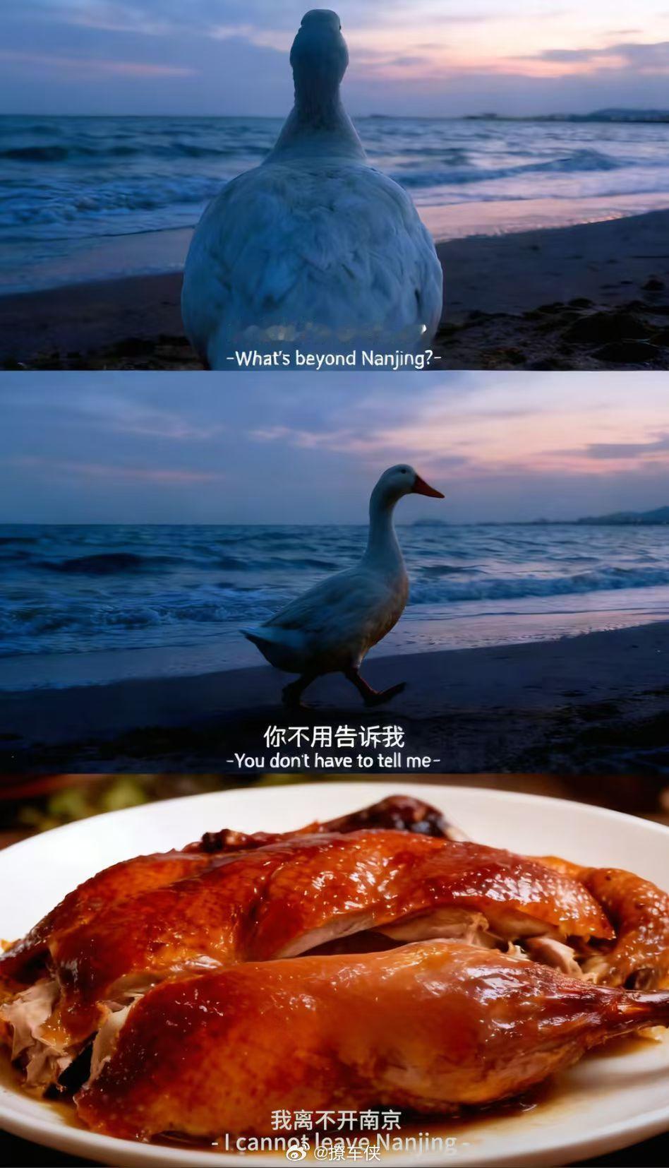 笑鼠我了，哈哈哈🤣​​​