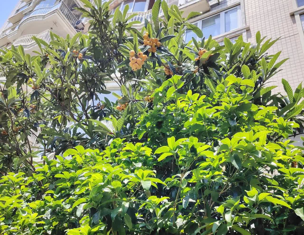 现实就是会打破幻想的。一个女子暗恋一个男子许多年了，从当初的女孩子到成了女人，为