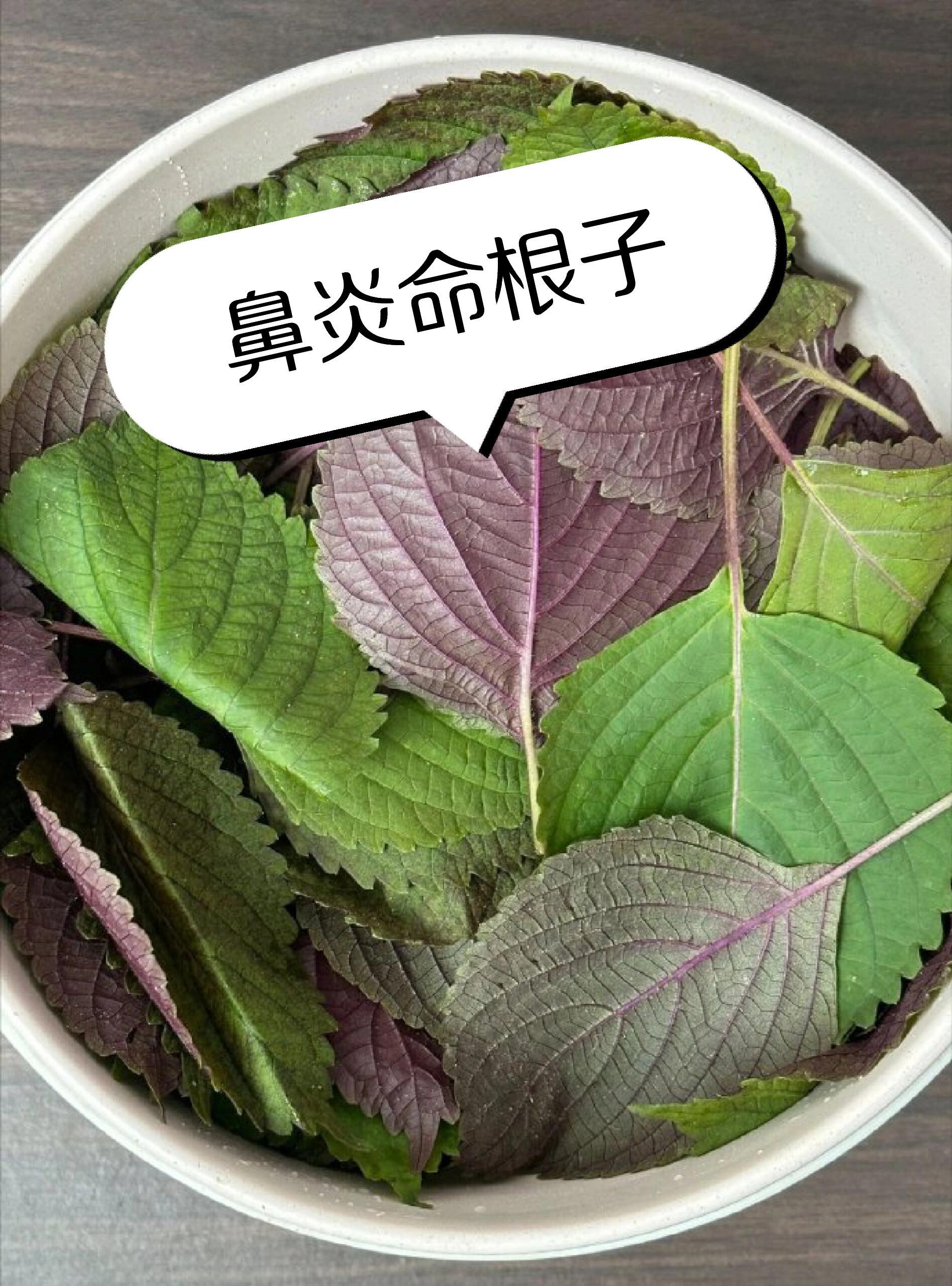 现在体会到紫苏水对焱的威力了