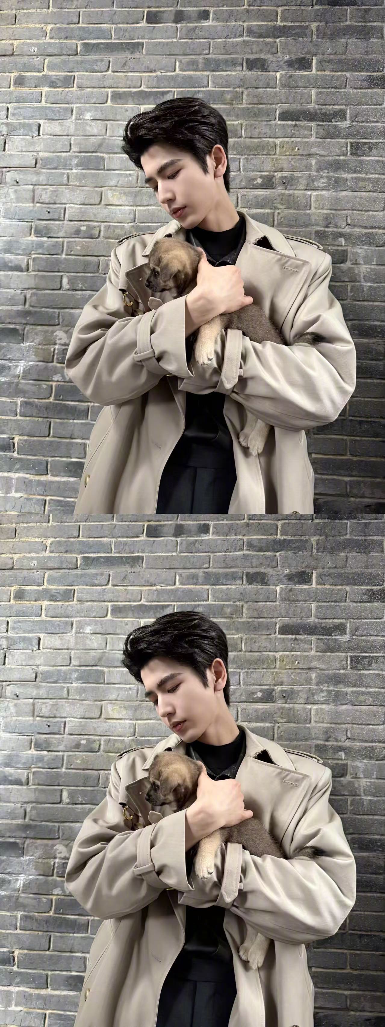 张凌赫晒抱狗狗随拍.张凌赫抱狗好温柔大狗狗和小狗狗😍小狗，你走行不行，让我