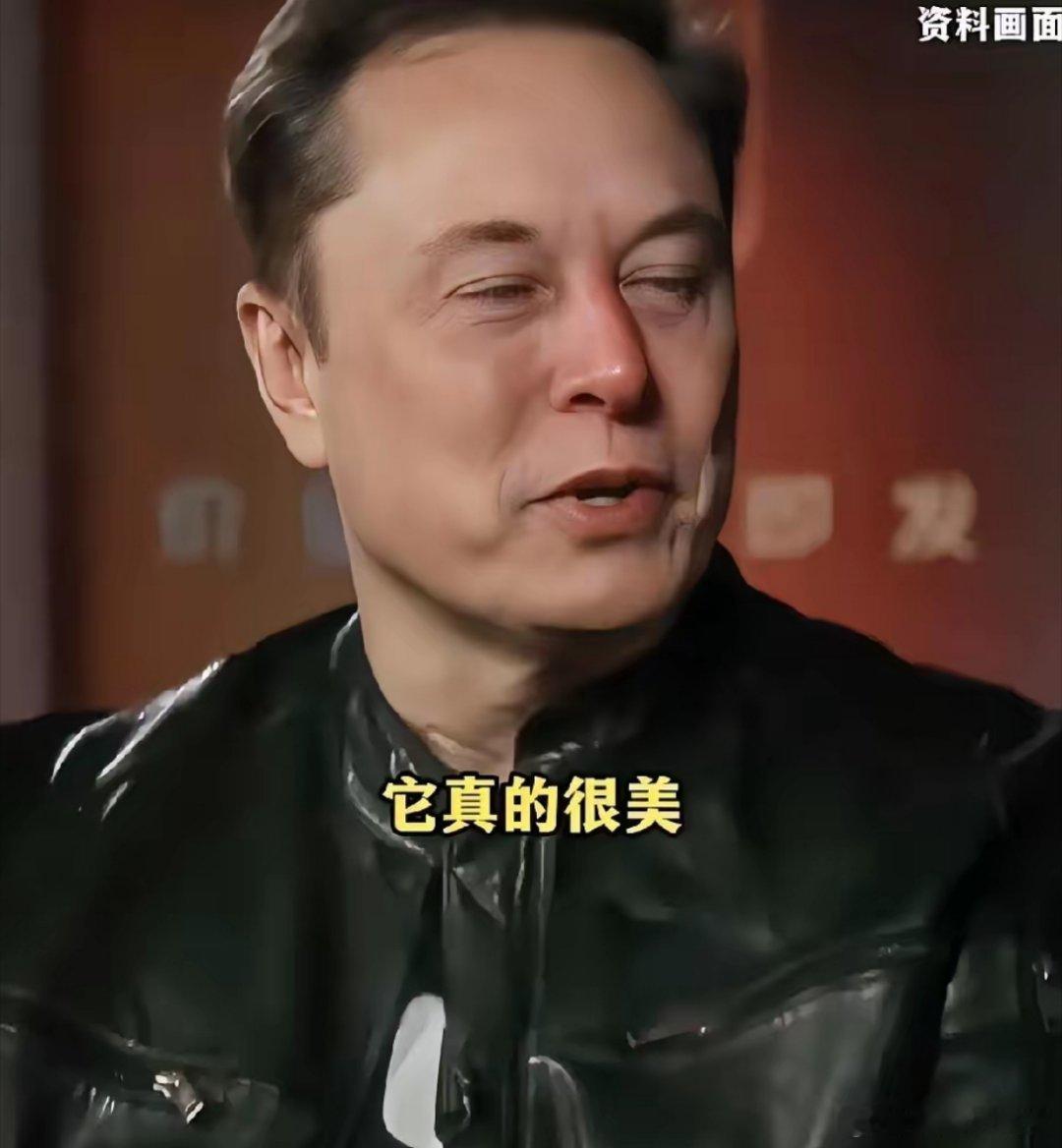 面相是骗不了人的，网友之前看马斯克，看的真准，网友说马斯克这个人，一看就是那种金