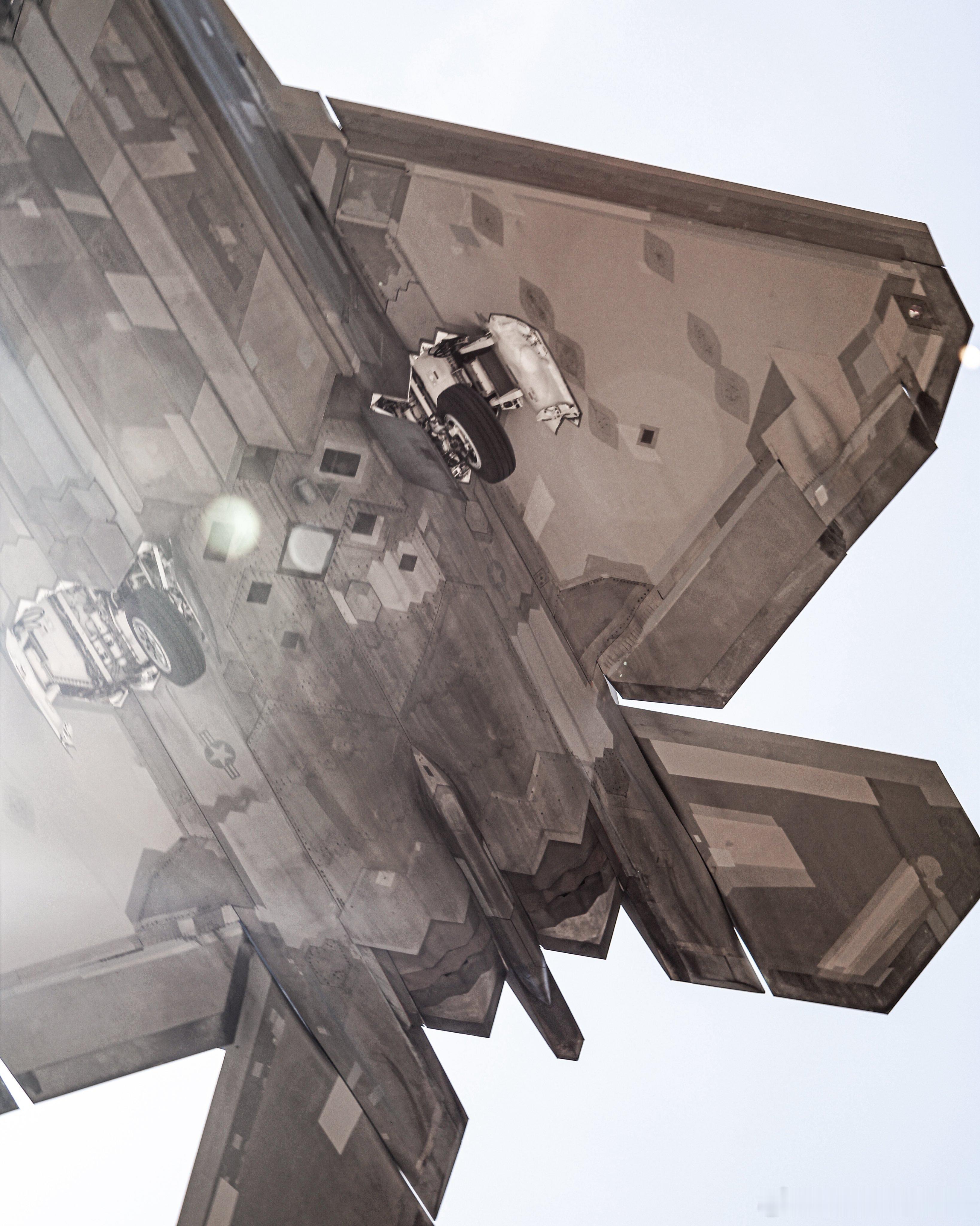 22:在东大面前我现在是家禽