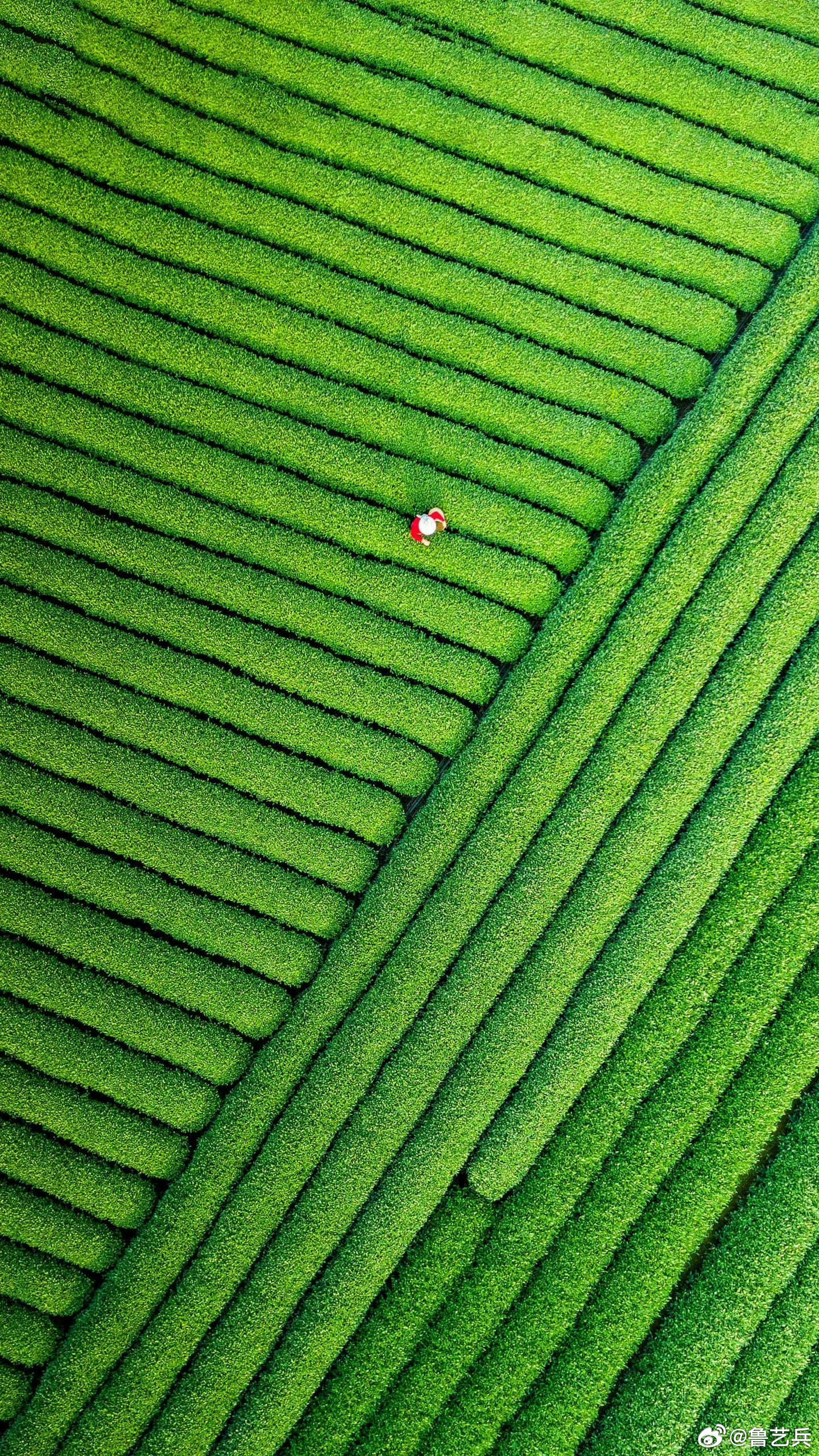 早安早安心语早安,新的一天早安心语超话治愈不开心人生感悟人生微语每天说早