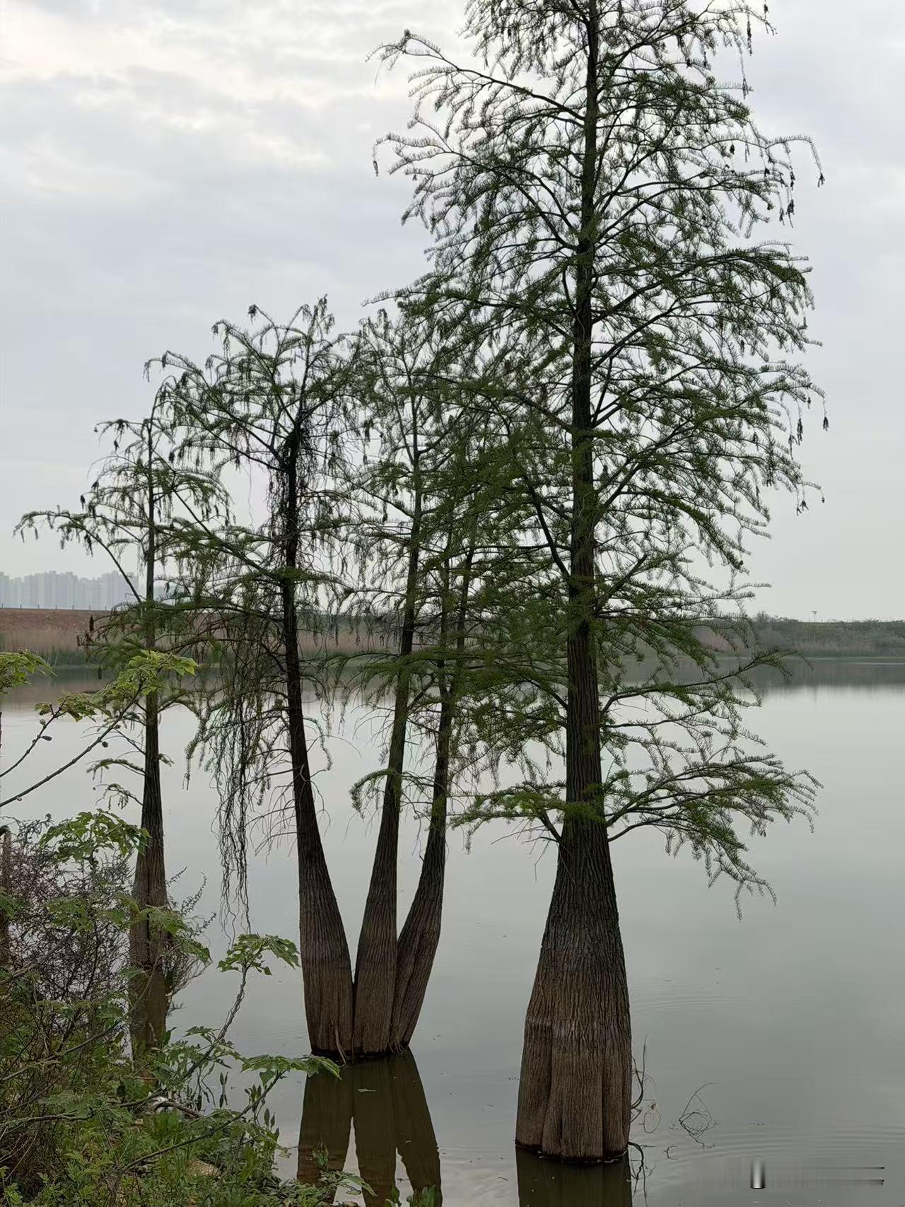 卧病在床才悟透，退休金工资卡一交出去，晚年的日子就彻底变味了！本以为交了卡子