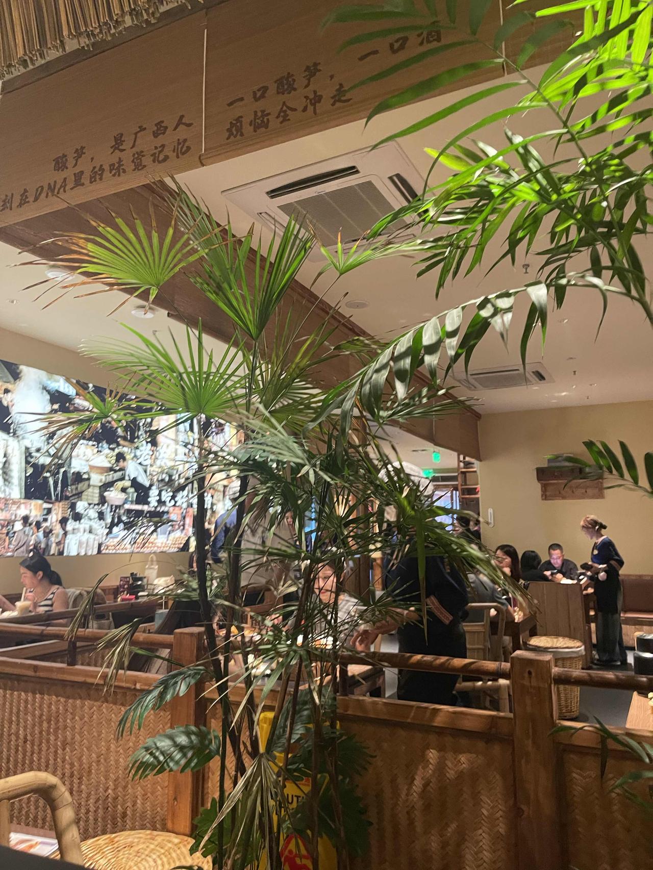 广西真的是被世人严重低估的地方，。从大理坐火车到南宁，一路田园风光，山美水秀。