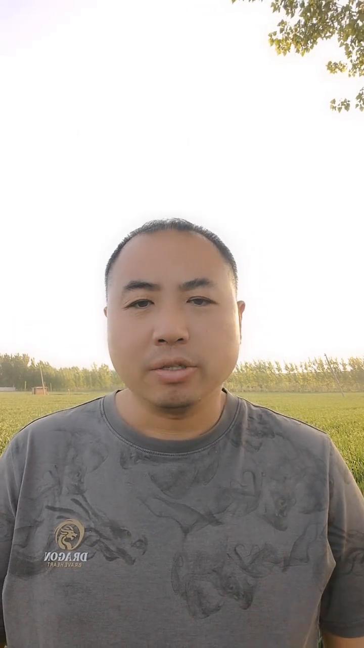 小麦不同生育时期喷施磷酸二氢钾都有哪些作用？具体用量如何掌握？需要注意什么？磷