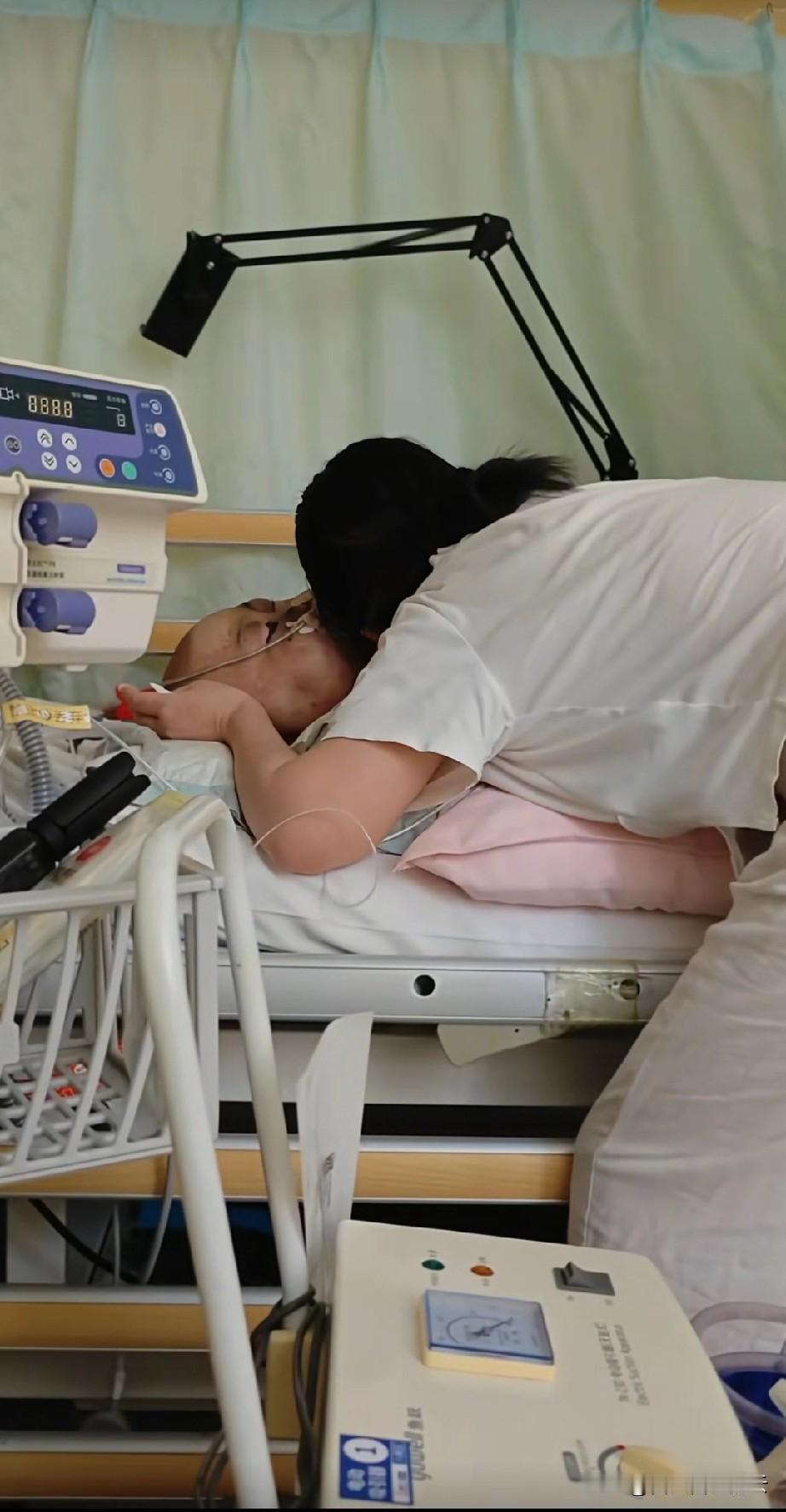 豪豪走了，他妈妈今天发视频公布的消息。妈妈说我还是舍不得她，我能理解妈妈的痛苦，