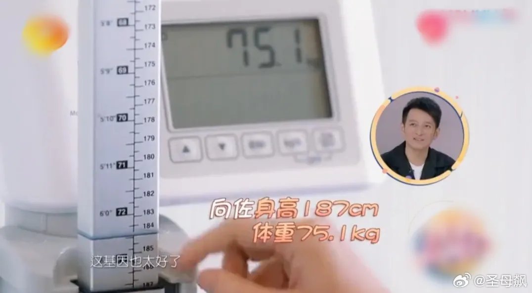 什么？向佐身高186厘米？我一直以为他1米7出头没想到他快1米9了。图一是他参加