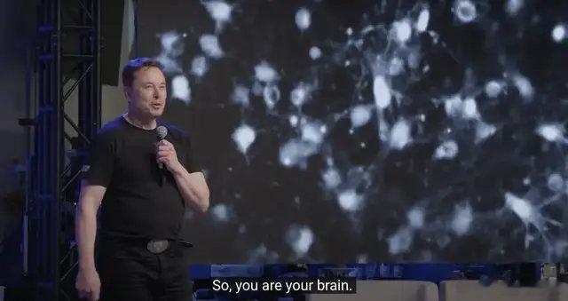 马斯克出手砸饭碗: 教育成重灾区, 人类或永生