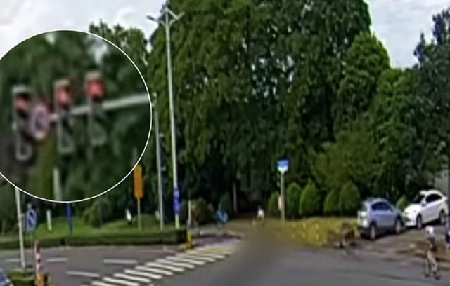 机动车道上骑行+闯红灯! 上海17人“暴骑团”收到33张罚单!
