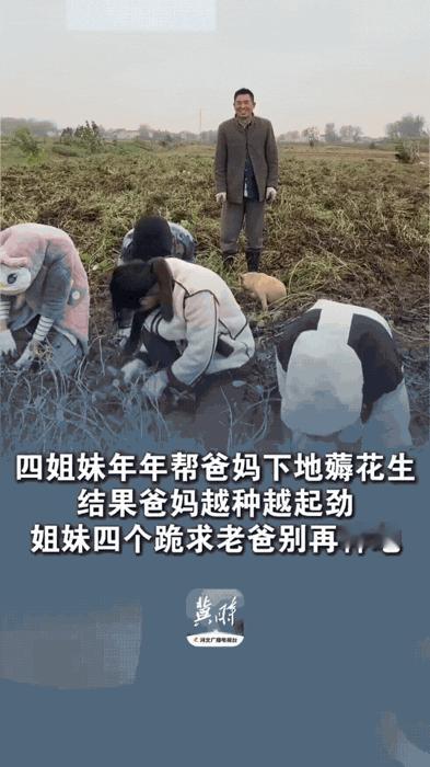 笑不活了！在河南商丘，四姐妹跪在地里求爸爸放过她们：“爸爸，以后别再种地了，我们