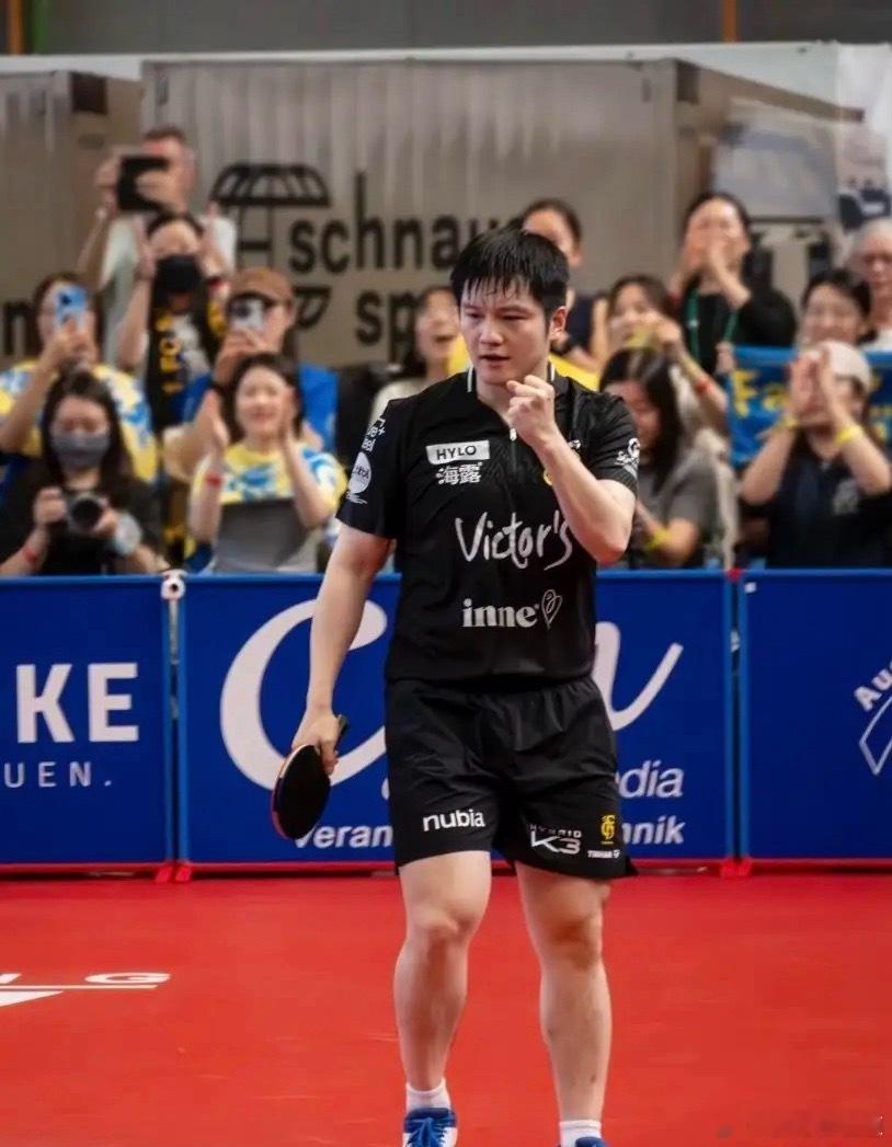 这德国杯半决赛看的，速效救心丸都得备两瓶！樊振东这球打的，真不愧是“收视率之王”