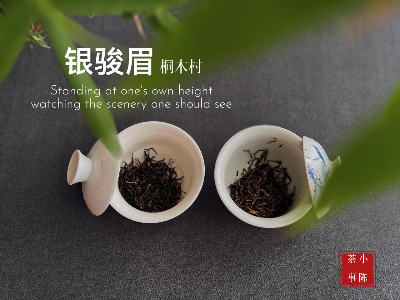 茶叶千万别随便放！再好的茶，放久全浪费！不管是绿茶、红茶、还是白茶、乌龙茶，存