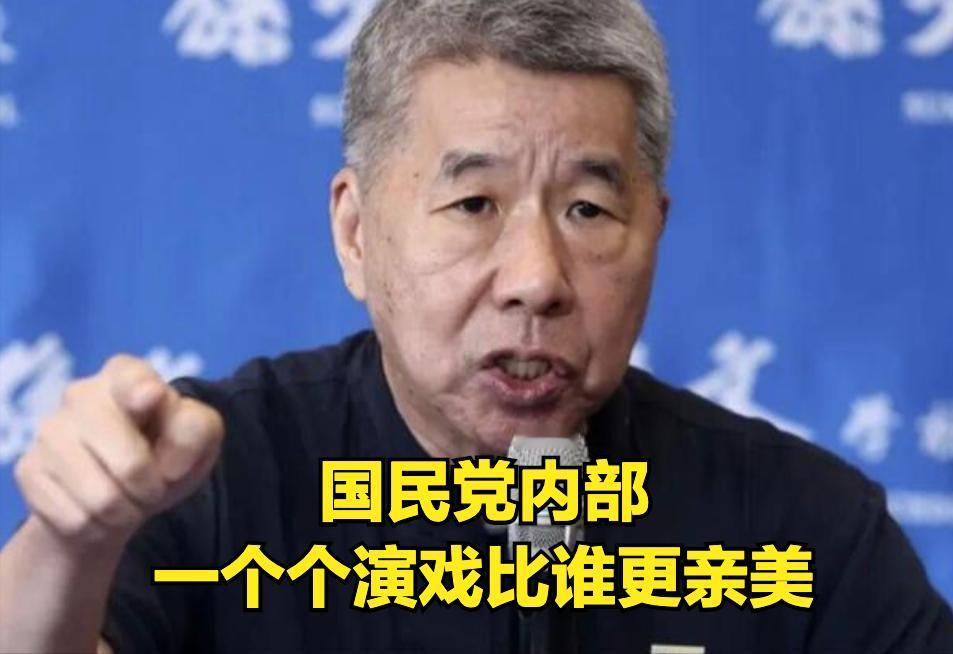 国民党自以为赢了，看看张亚中怎么骂的：国民党一个个的比谁演的更好看。相比民进