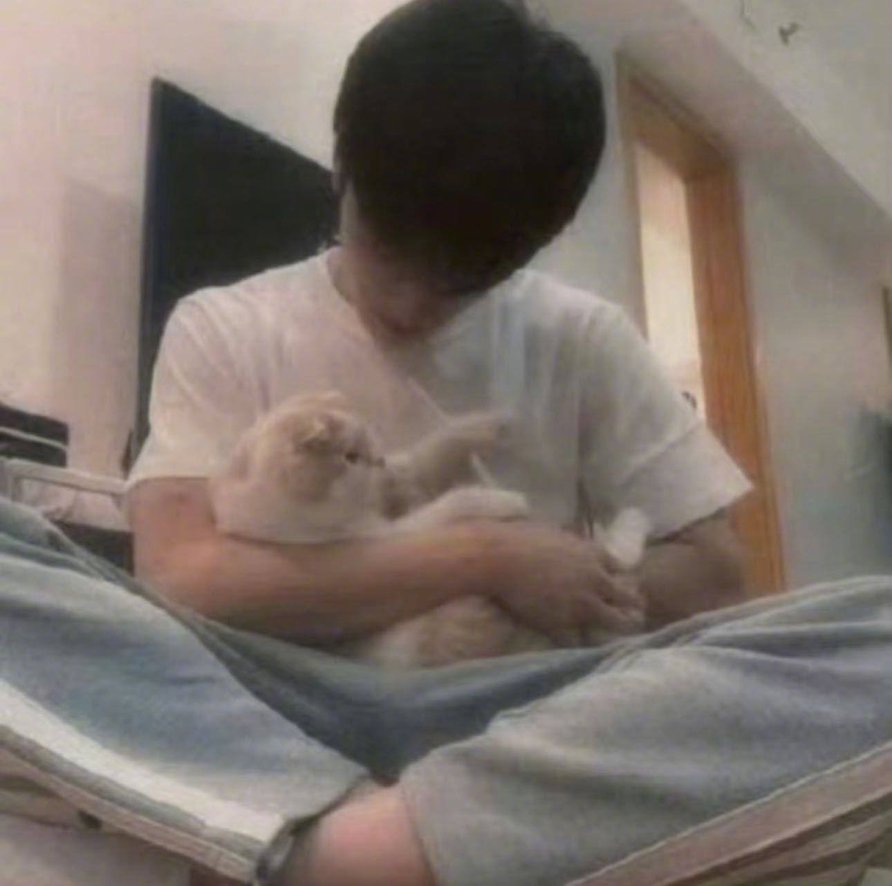 张康乐喂流浪猫 这个张康乐不仅自己家里有6只猫，面对出门在外遇到的流浪猫也是毫不