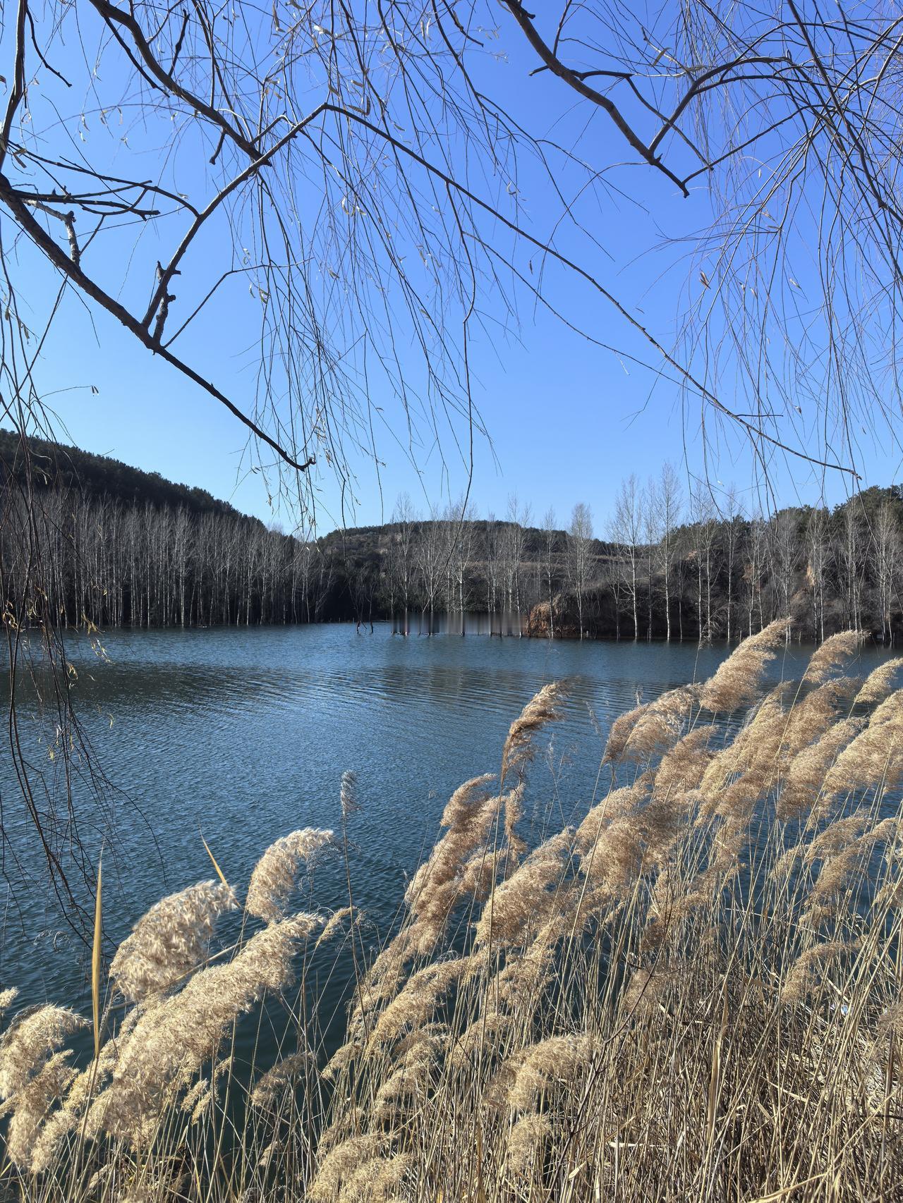 分享自然风景照片