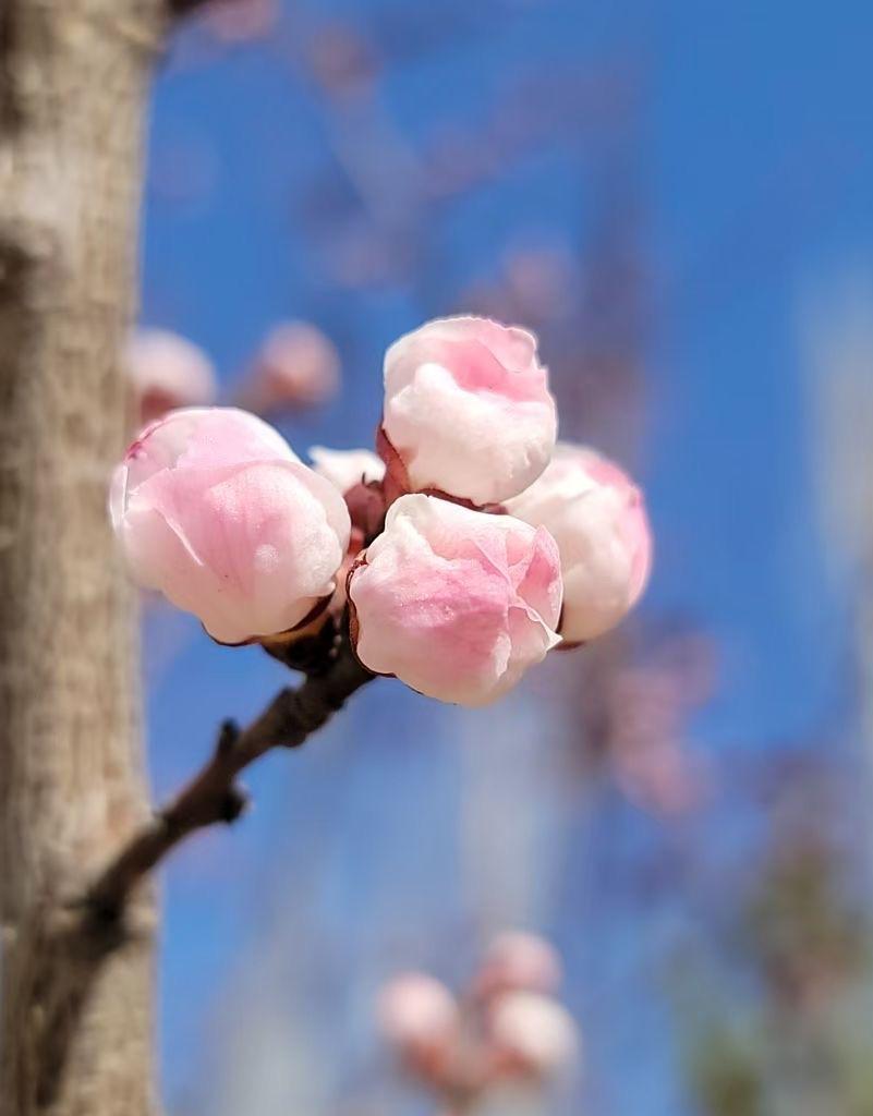 同事走了！才四十七，乳腺癌复发，她老公在她化疗的时候跟她离了，她也没闹签了字，