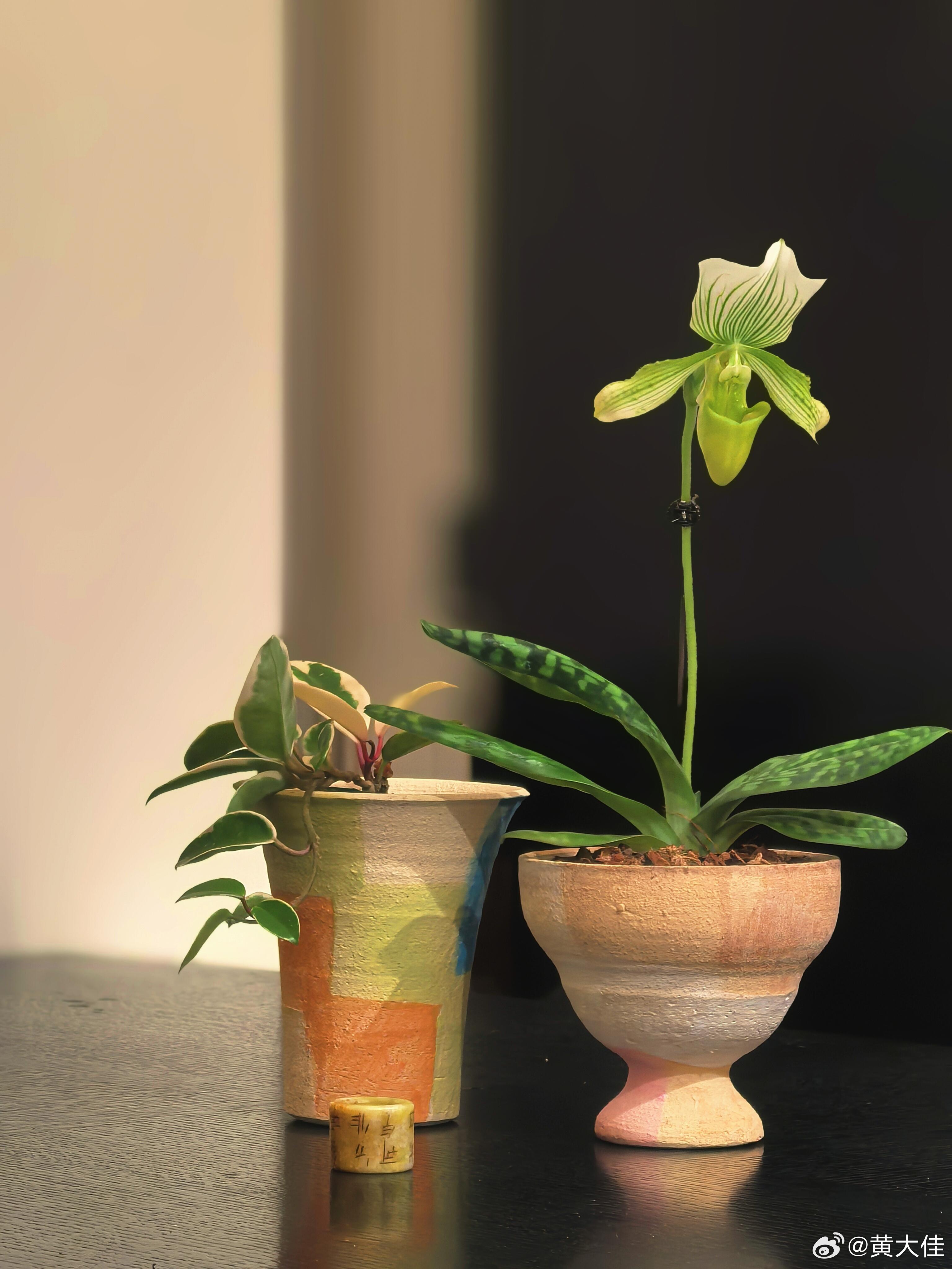 “忙忙碌碌，没有人不累，宣泄方式不同，比如，懒得说，后来越来越喜欢平静，喜欢独处