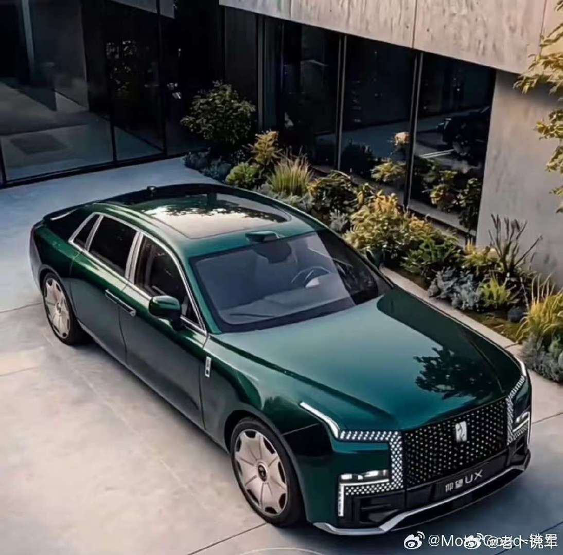 仰望大行政轿车？​​​​