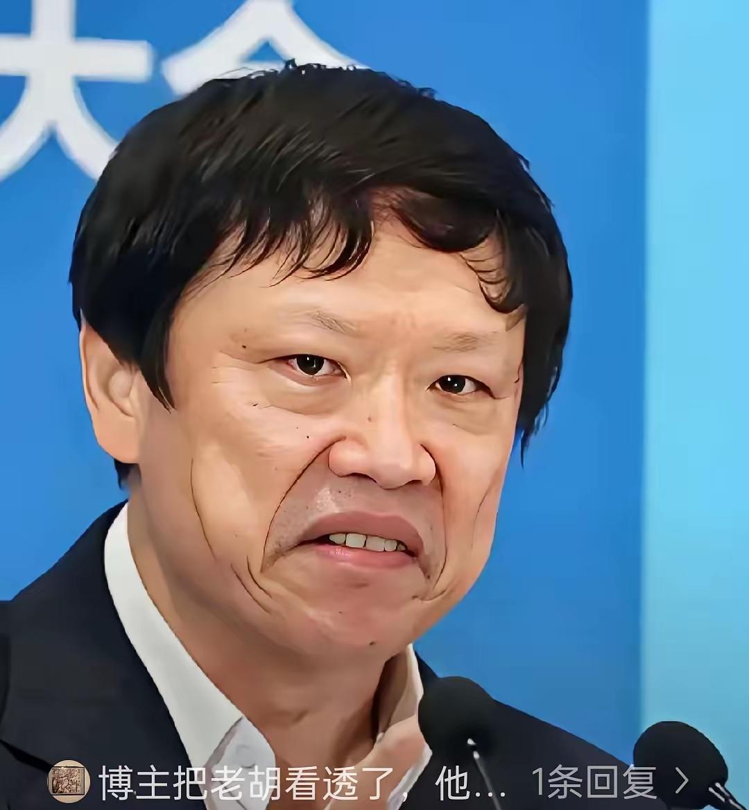 胡锡进是干嘛的？他是咀嚼派，把别人的东西粉碎包装一下，出售成个人的产品。