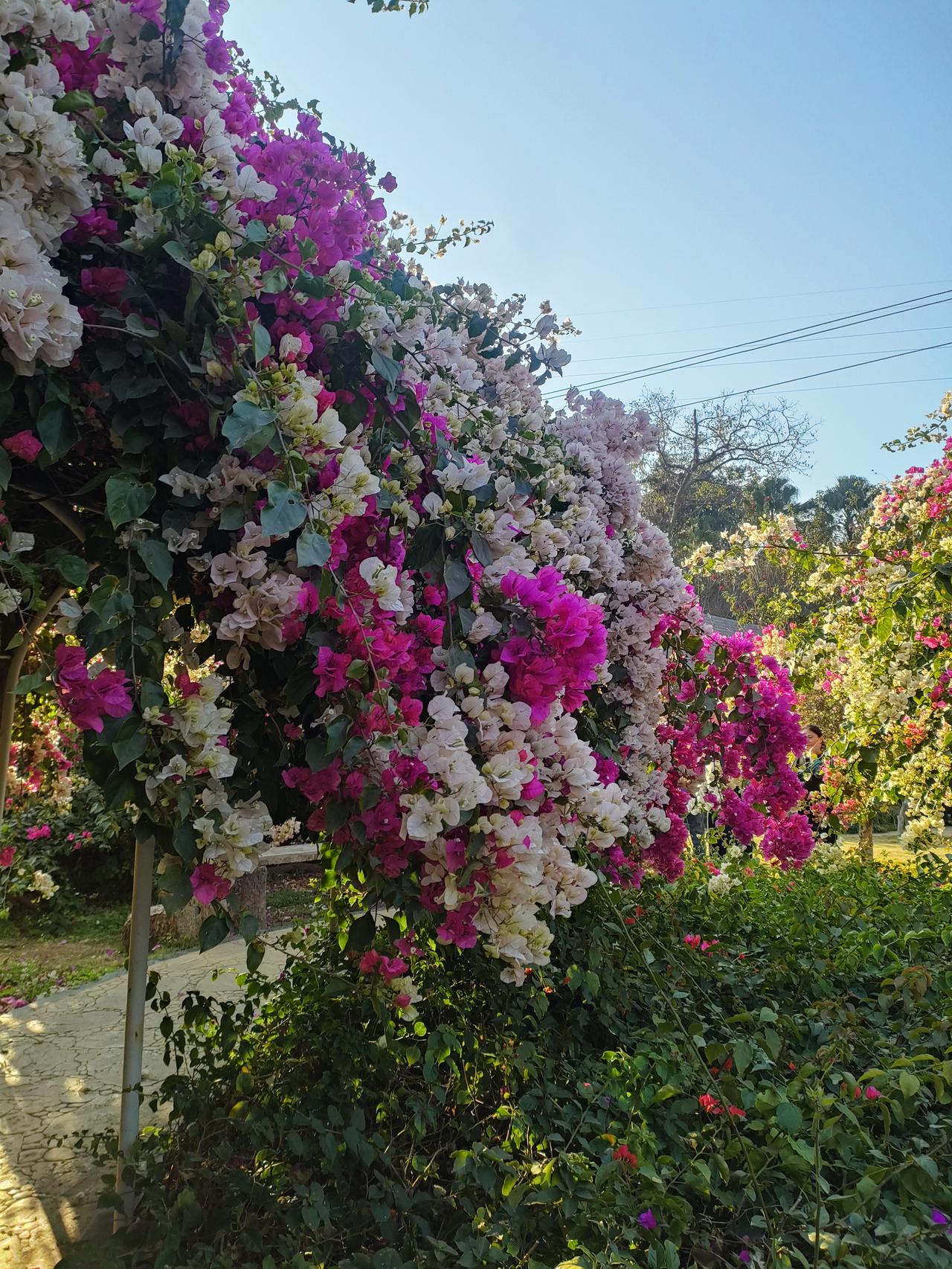 取消物业引全民热议真相颠覆多数人认知近期“取消物业”的话题持续刷屏，不少