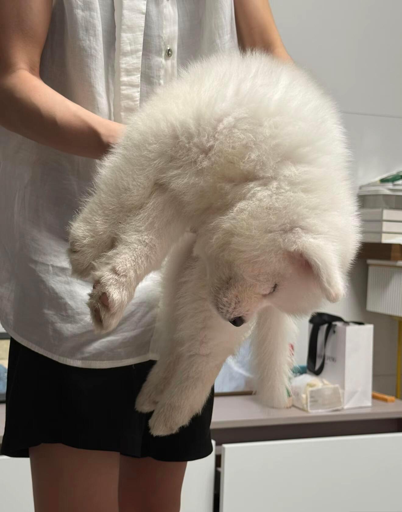 老师，我们家子涵还在睡觉耶