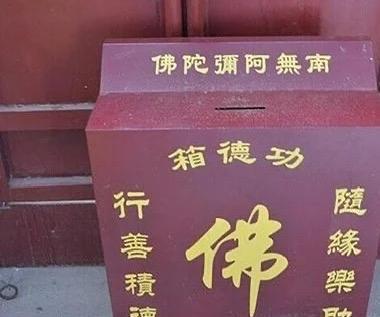 六千善款点醒迷途人：老树禅机揭开人生逆袭的真谛