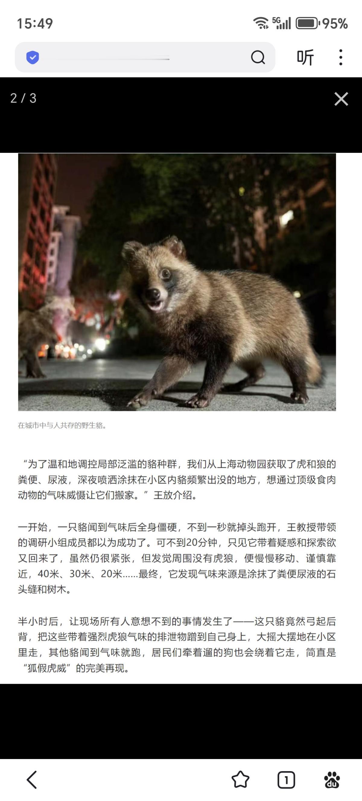 世说新语：貉假虎威看到个新闻说，上海有些地方野生貉局部泛滥，成天在小区里晃悠，