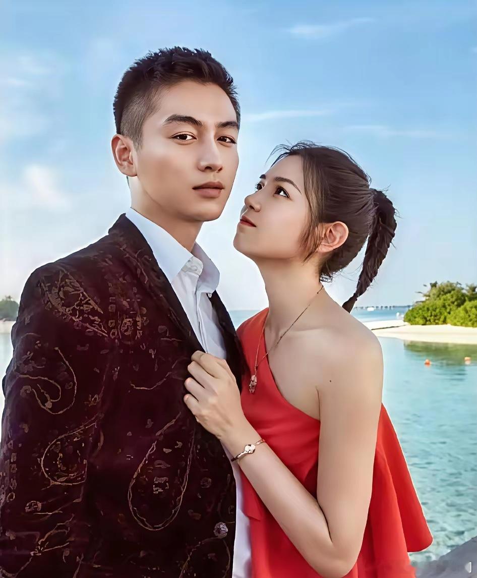 陈晓陈妍希为什么离婚？其实原因很简单，并不是他俩不爱了，而是因为两人的相处节奏越