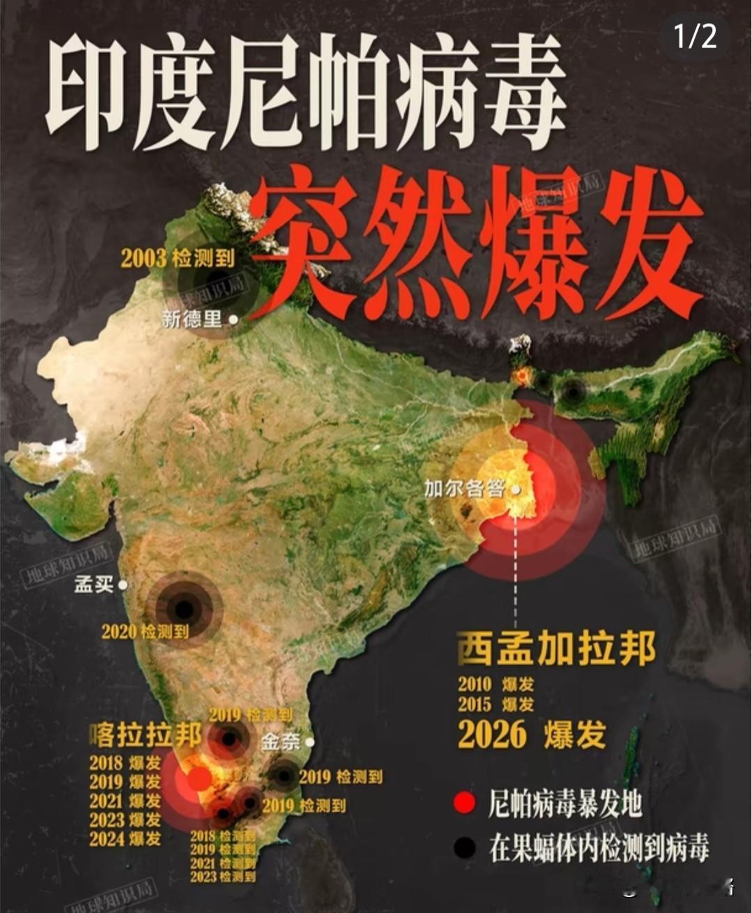 看到印度尼帕病毒疫情的消息，我坐在沙发上愣了好几分钟。然后我做了三个决定。