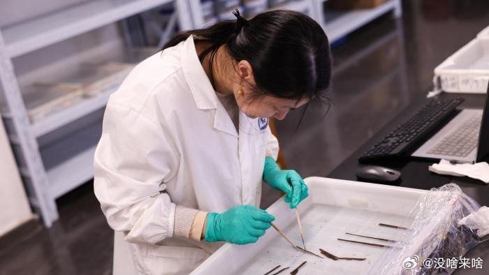 首次啊真是前所未见呐.很期待非常非常滴期待......凤凰新闻【海昏侯墓考古