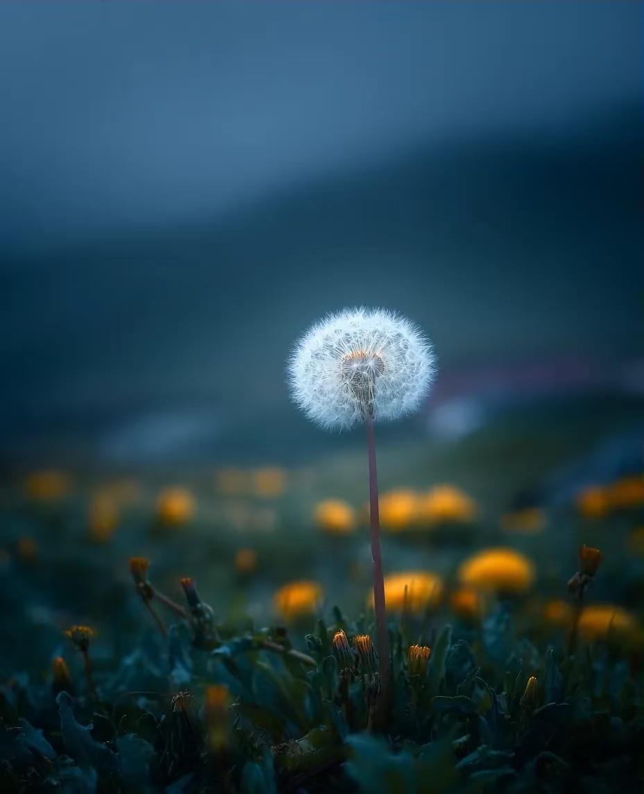 很多夫妻吵架，动不动就“不过了，离婚！”说一次是气话，说十次就成真了。因为，这样