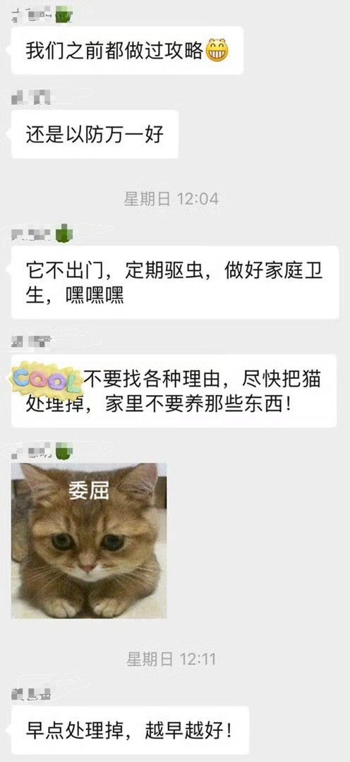 公婆下最后通牒送走猫