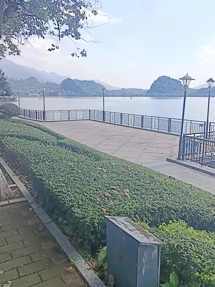 今天我在肇庆市的星湖边发现了一个很严重的问题但不知道怎么说才好你敢