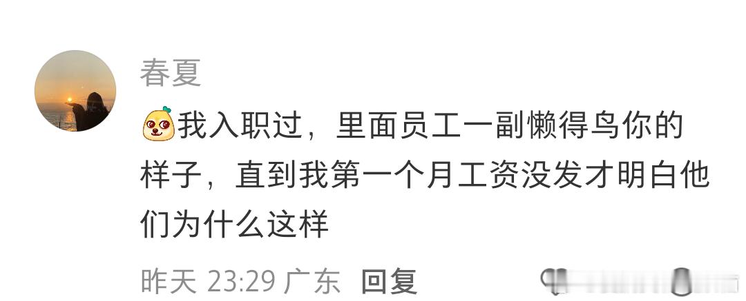 入职三天发现公司的人都不说话