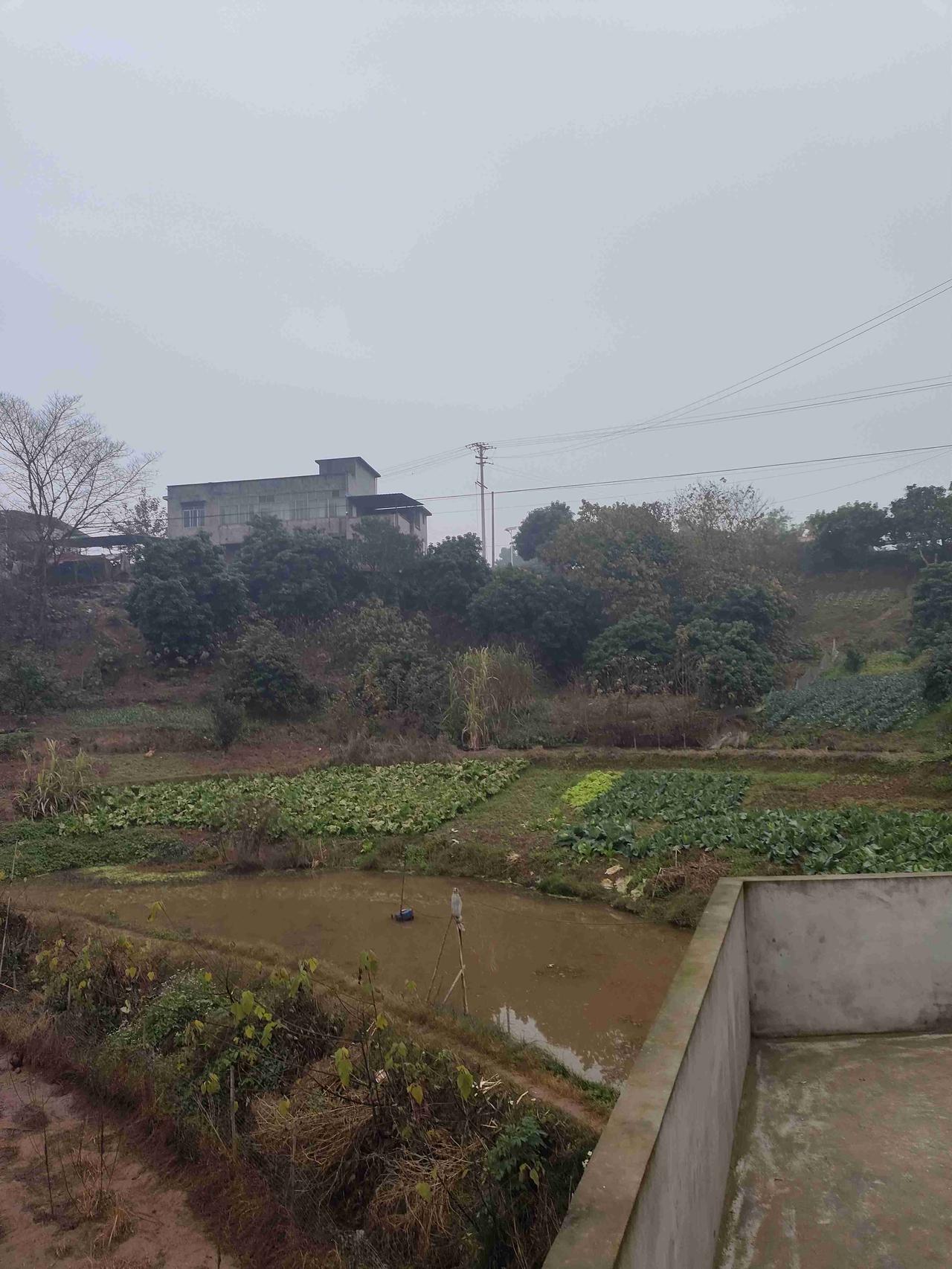 我的今日状态：😁轻松愉快我这里的天气：🌤️多云