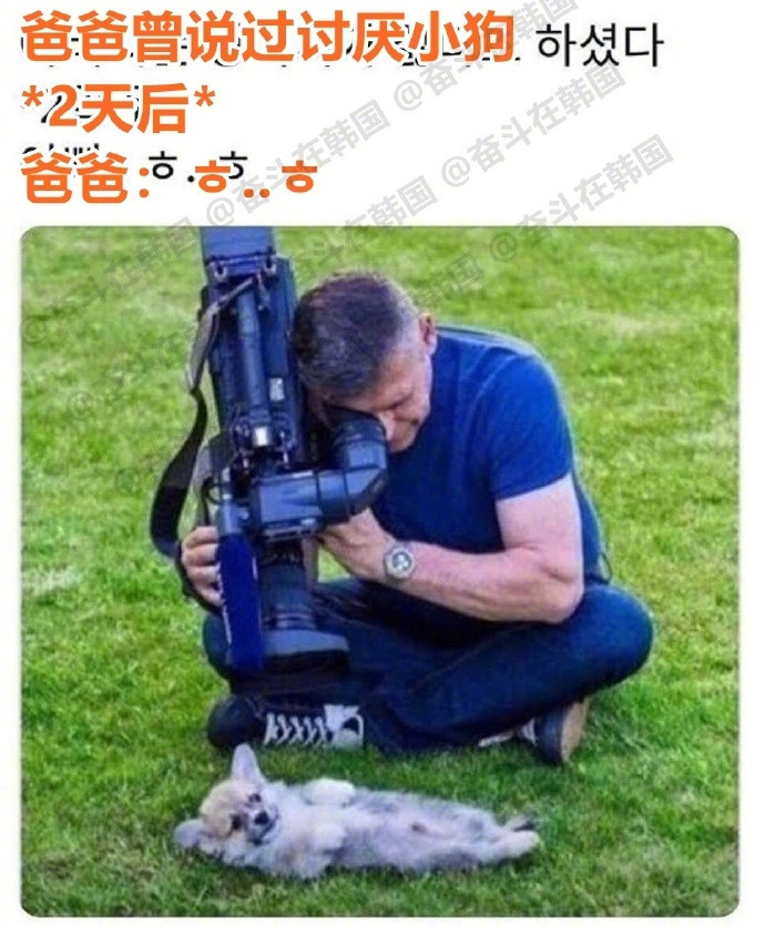 当时说讨厌小狗的爸爸...海外新鲜事热点现场