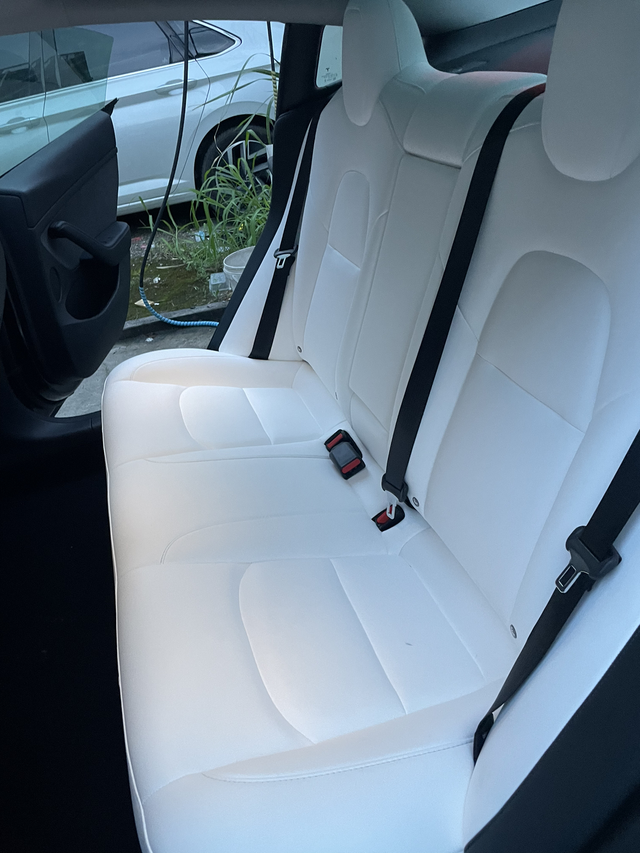 特斯拉白内永远的神用了一年多，两个儿子，3岁5岁，后排如图，昨天拍的。谁说不