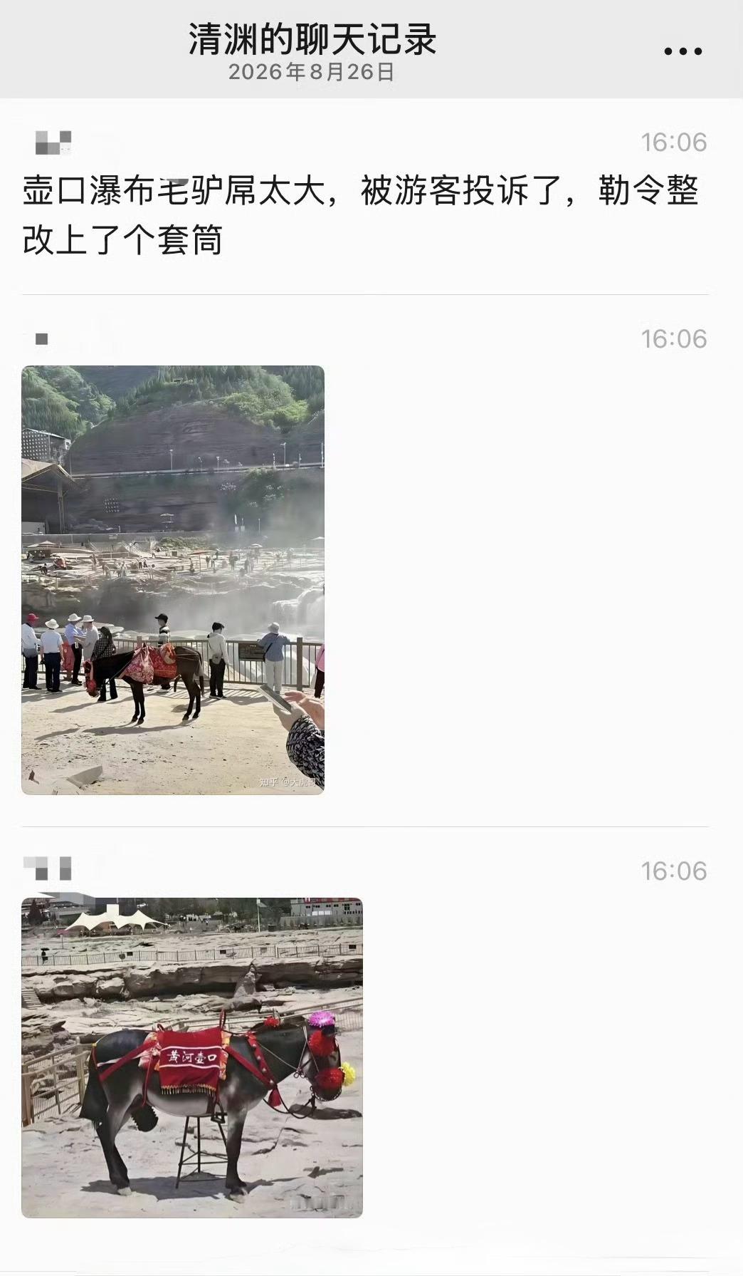 人类进入文明社会，要求驴也必须文明起来了，没毛病​​​