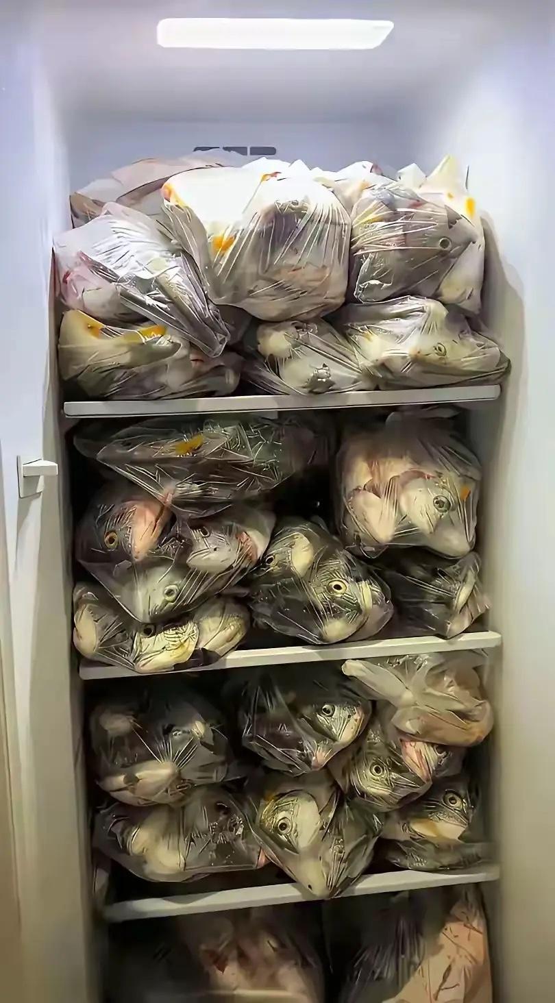 网友:嫁钓鱼佬的烦恼！刚扔了没几天又满了！