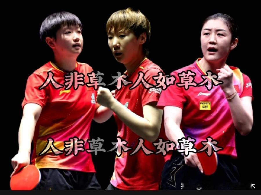 孙颖莎、陈梦、王曼昱商务大汇总——🔹孙颖莎，目前总积分世界排名第一，主要成绩