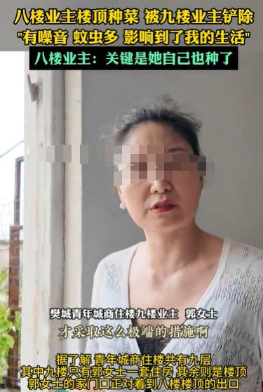 湖北襄阳，8楼的男子在楼顶种菜，9楼的女子看不过去，就把菜全部铲走了，男子找女子