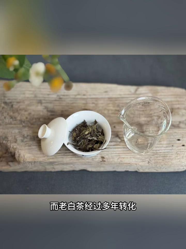 晚上喝茶为什么要喝老白茶？因为好处太多了。·1、老白茶的刺激性小。夜晚喝茶的