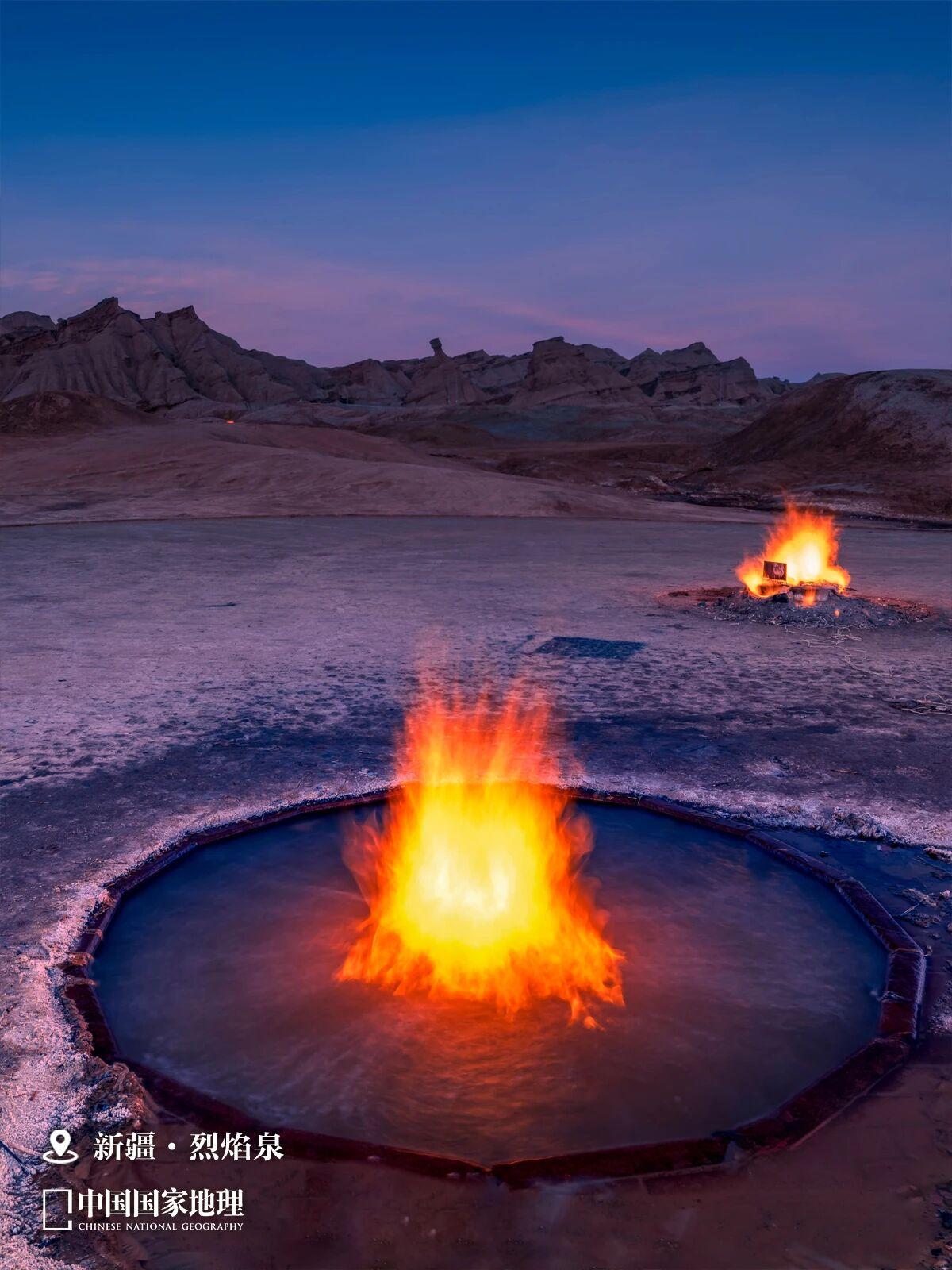 它们看似比外星更遥远，却离你的心很近。假如春意太喧嚣、花粉太呛人、世界太吵闹，不