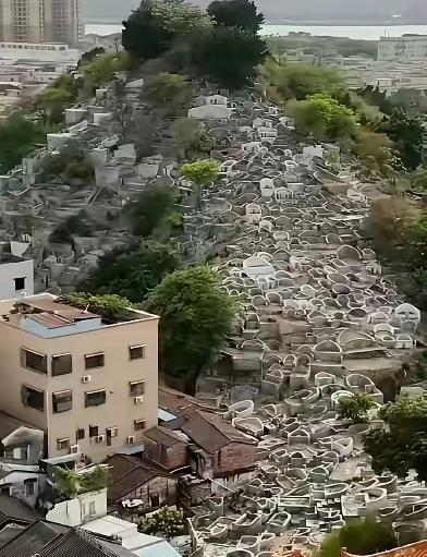 终于知道，为什么国家推行火葬，而不是土葬了！这可不是随便拍板的决定，是经过