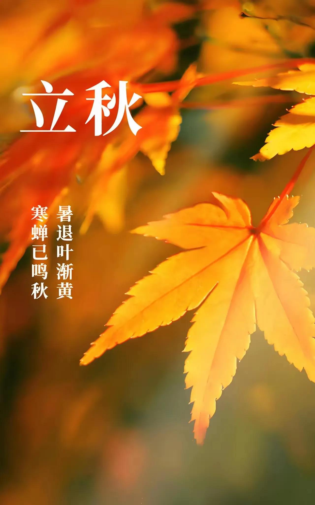 今日13时51分19秒立秋。立秋是24节气中的第13个节气，是非常重要的节气之一